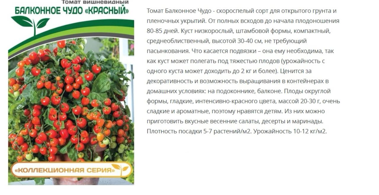 Томат Балконное Чудо "Красный" ( 1 упаковка -0,05г)