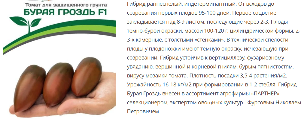 Томат Бурая Гроздь F1(1 упаковка -10шт.)