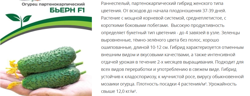 Огурец партенокарпический Бьерн F1 (1 упаковка-5шт)