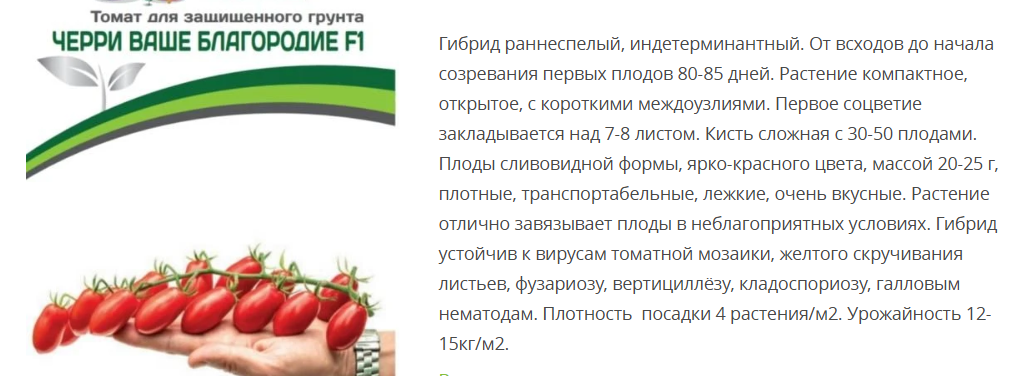 Томат Ваше Благородие F11 (1 упаковка - 5 шт)