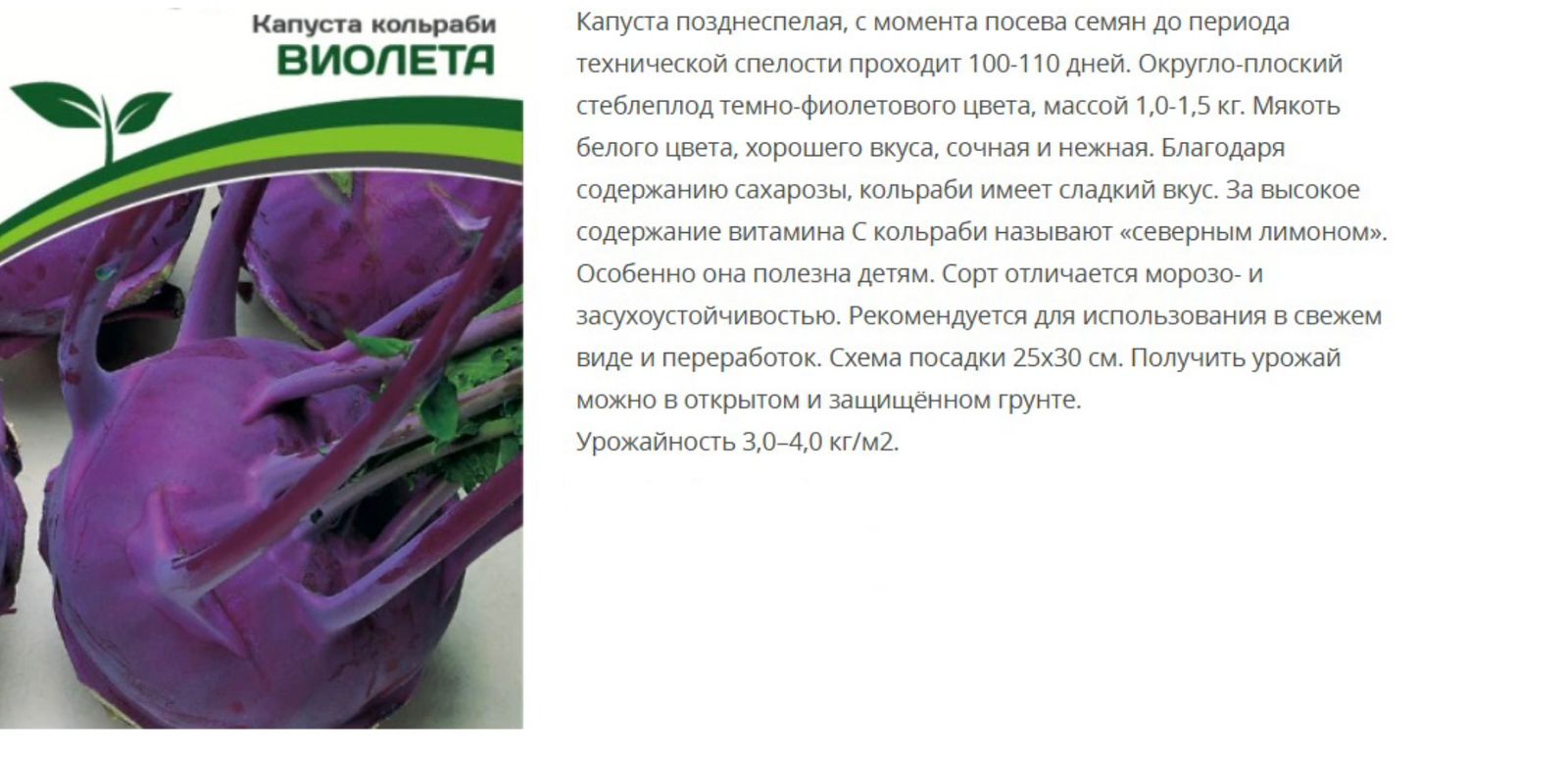 Капуста кольраби Виолета ( 1 упаковка - 0,5г)