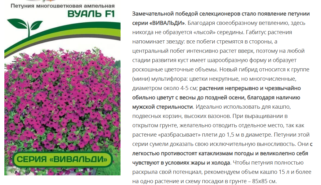 Петуния "Вивальди" Вуаль F1 ампелельная фиолетовая (1 упаковка -5 шт.)