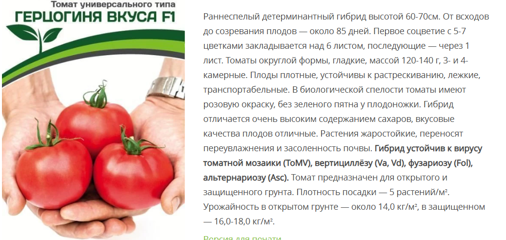 Томат Герцогиня Вкуса F1 (1 упаковка -0,05г.)