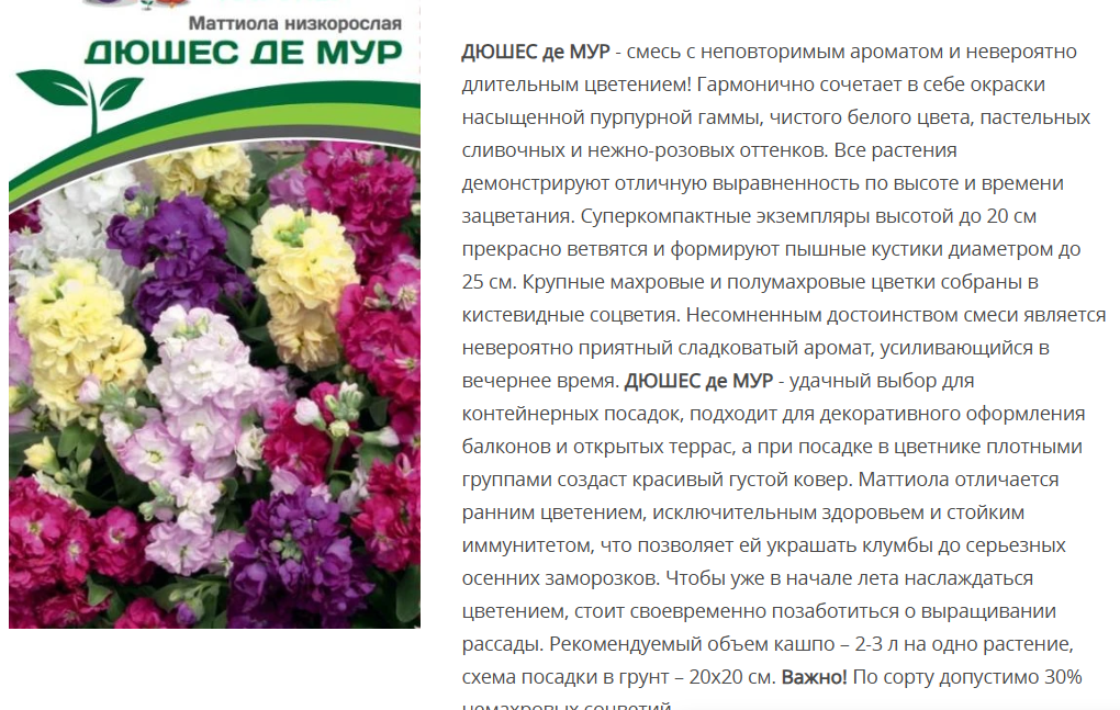Маттиола низкорослая Дюшес де Мур (10шт)
