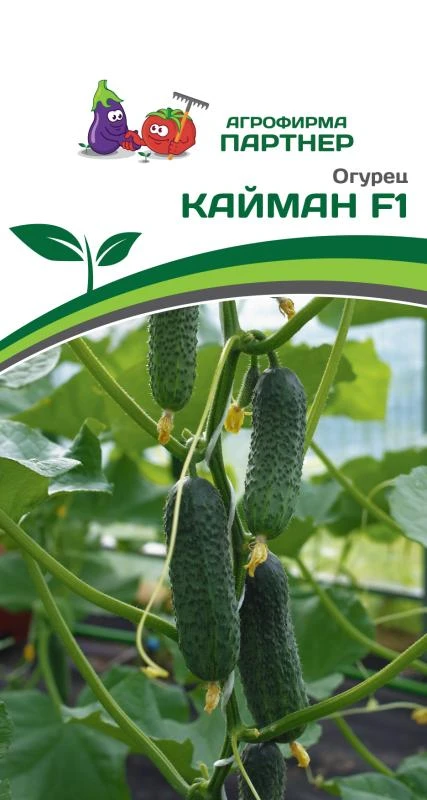 Огурец партенокарпический Кайман F1 (10 шт.)