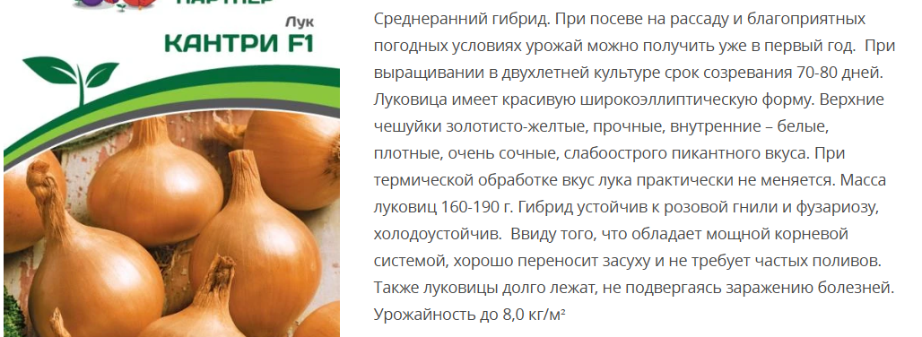 Лук репчатый Кантри F1 (1 упаковка- 0,5 гр.)