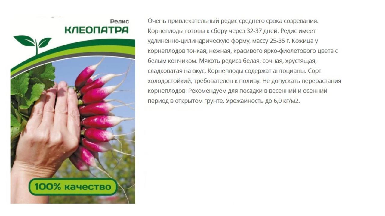 Редис Клеопатра ( 1 упаковка - 2г.)