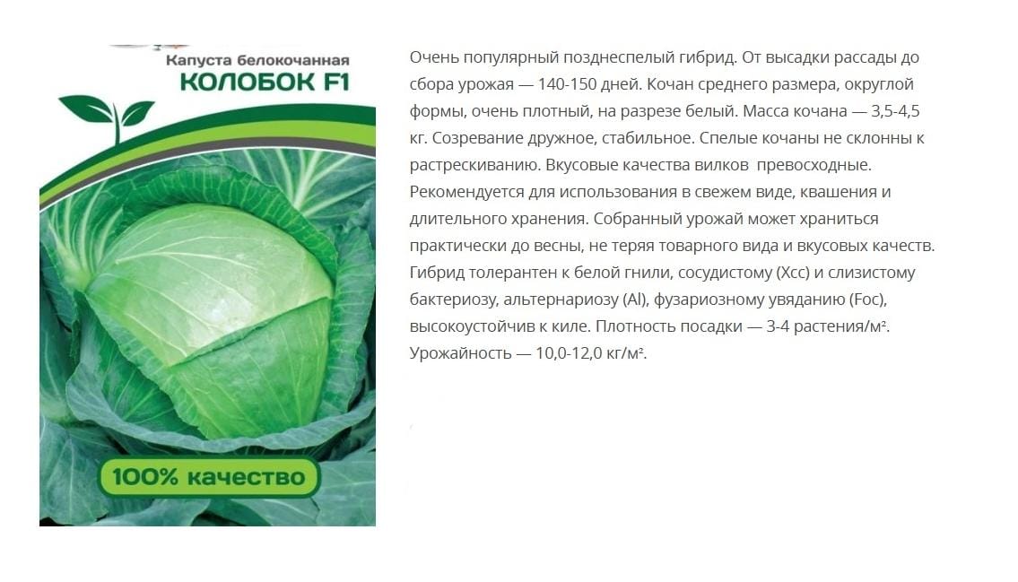 Капуста белокочанная позднеспелая Колобок F1 (1 упаковка 0,2г)