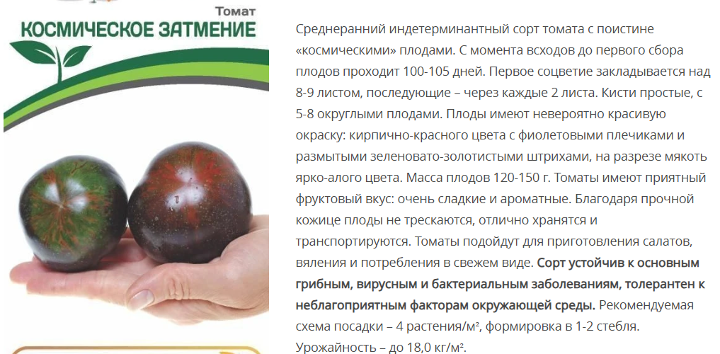 Томат Космическое Затмение (1 упаковка-0,05г.)