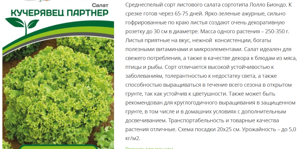 Салат листовой Кучерявец Партнер ( 1 упаковка - 1г.)