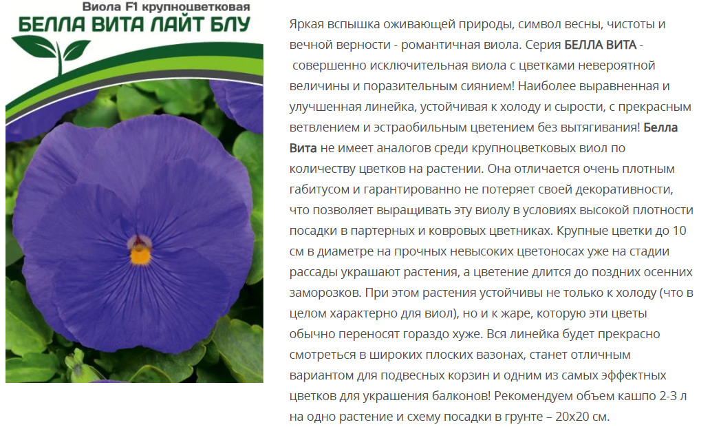 Виола виттрока крупноцветковая "Белла Вита" Лайт Блу F1 (5шт)