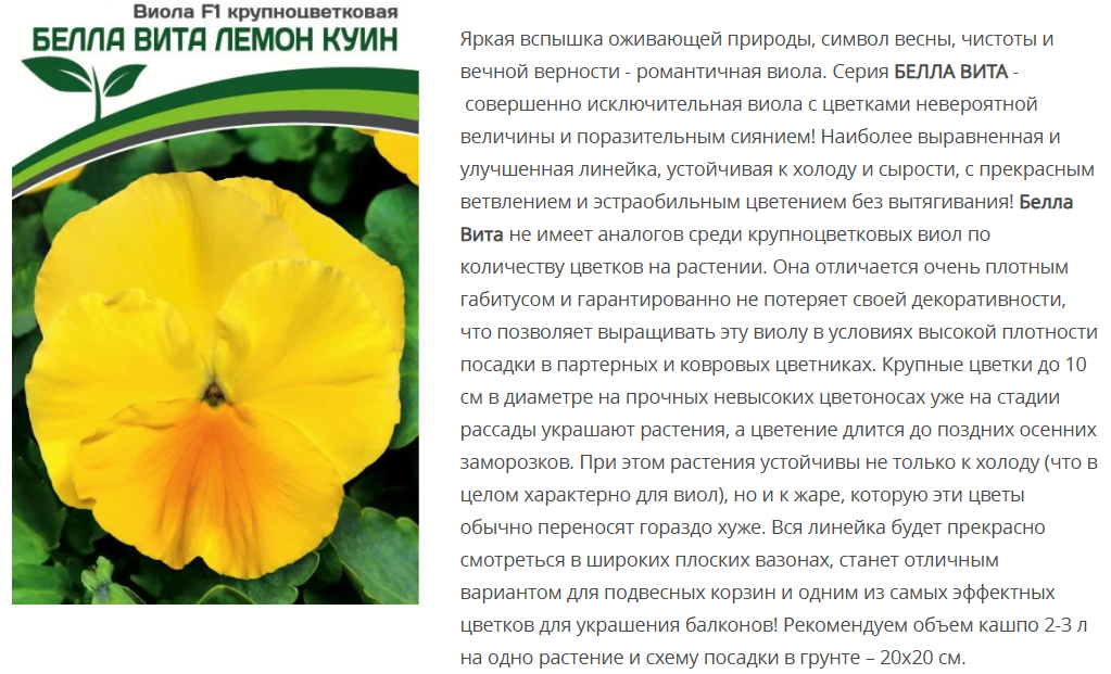 Виола виттрока крупноцветковая "Белла Вита" Лемон Куин F1 (5шт в амп)