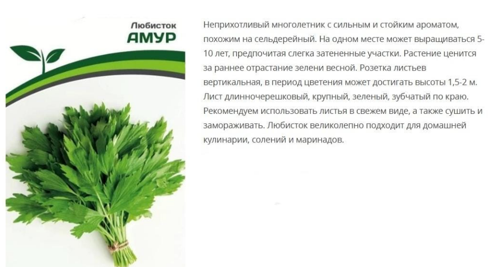 Любисток Амур ( 1 упаковка-0,5г)