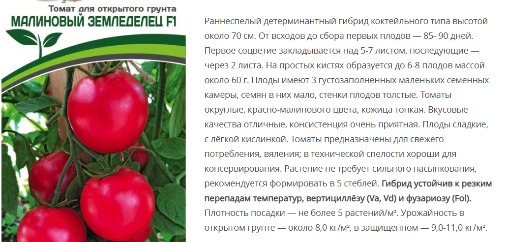 Томат Малиновый Земледелец F1 (1 упаковка -0,05г.)