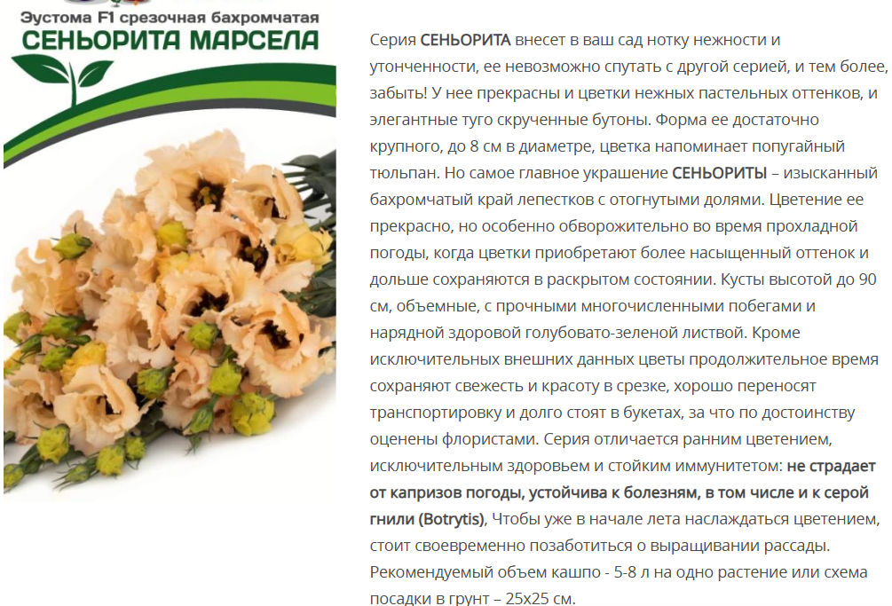 Эустома F1 бахромчатая нежно-абрикосовая Сеньорита Марсела  (5шт в амп)
