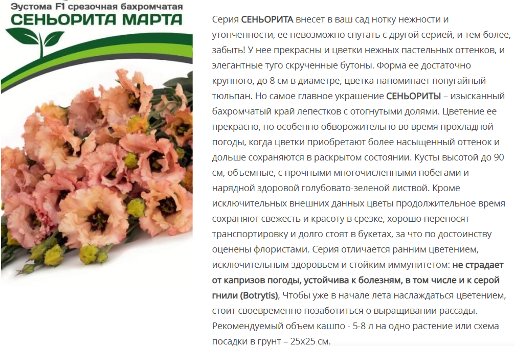Эустома F1 бахромчатая лососевая Сеньорита Марта  (5шт в амп)