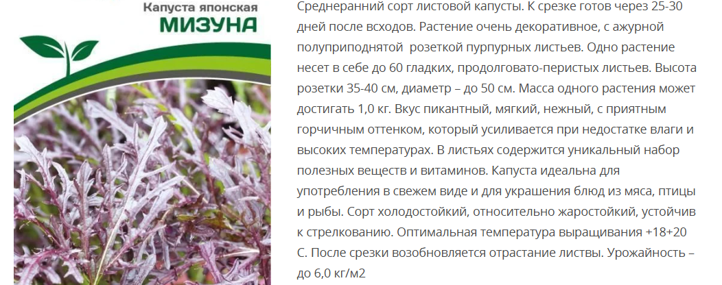 Капуста японская Мизуна (1 упаковка - 1гр.)
