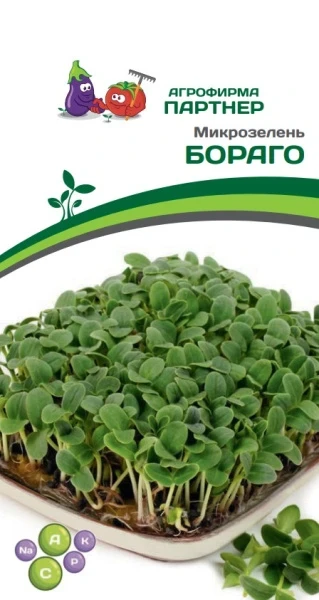 Микрозелень Бораго (4 гр.)