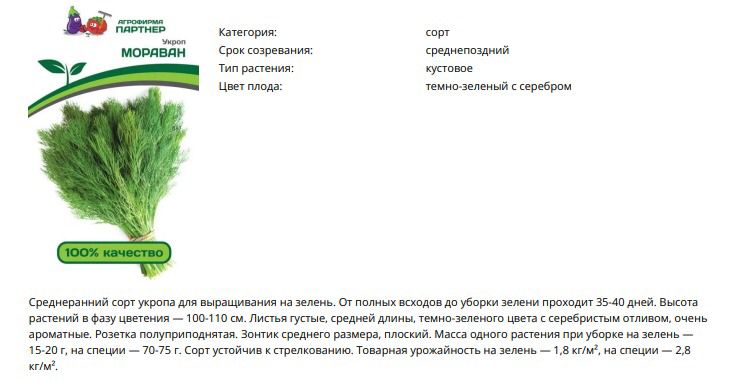Укроп  Мораван  (1 упаковка - 2 гр.)