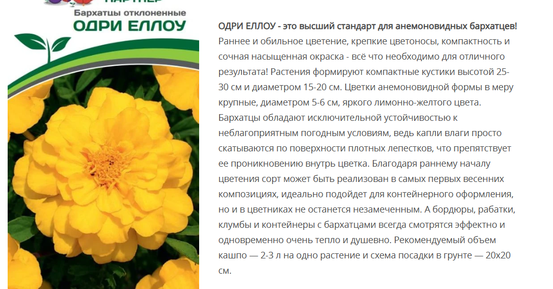 Бархатцы отклоненные Одри Еллоу (10шт)