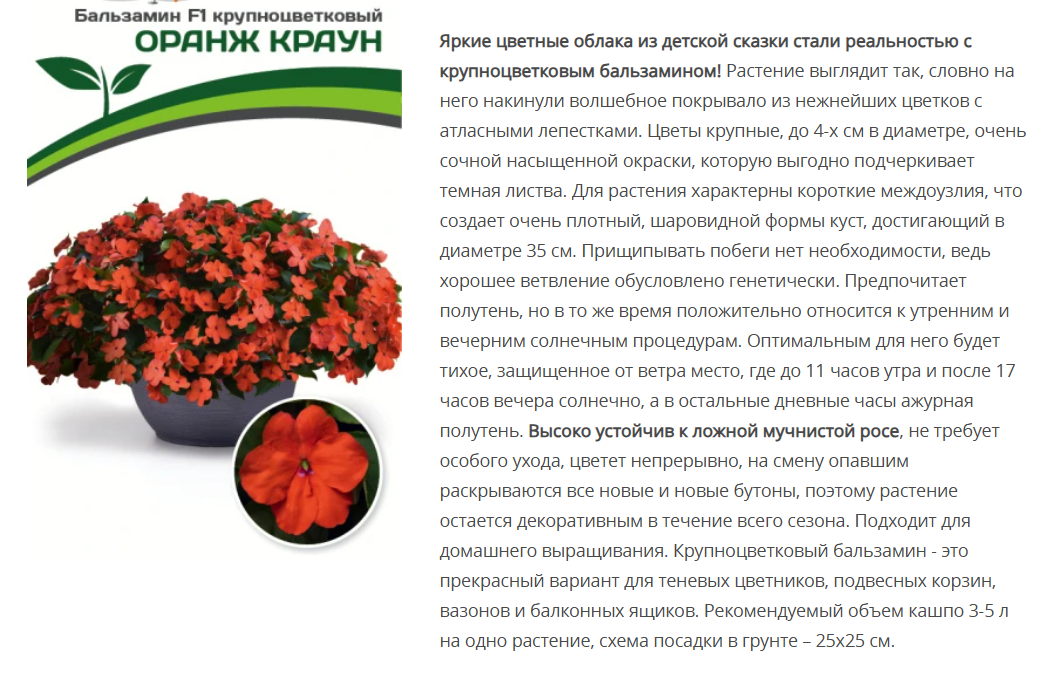 Бальзамин F1 Уоллера крупноцветковый Оранж Краун ( 1 упаковка - 5шт в амп)