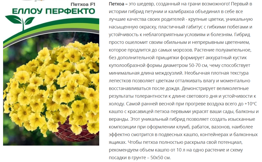 Петхоа Еллоу Перфекто F1  (5шт в амп)