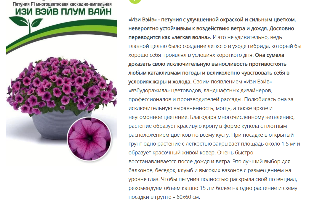 Петуния "Изи Вэйв" Плум Вайн F1 каскадно-ампельная (1 упаковка- 5шт.)