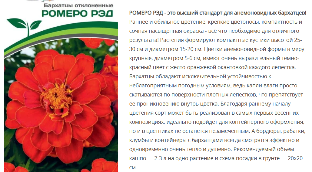 Бархатцы отклоненные Ромеро Рэд (10шт)