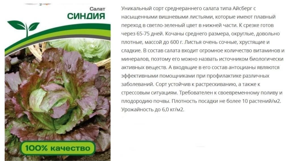 Салат кочанный Синдия ( 1 упаковка -1г)