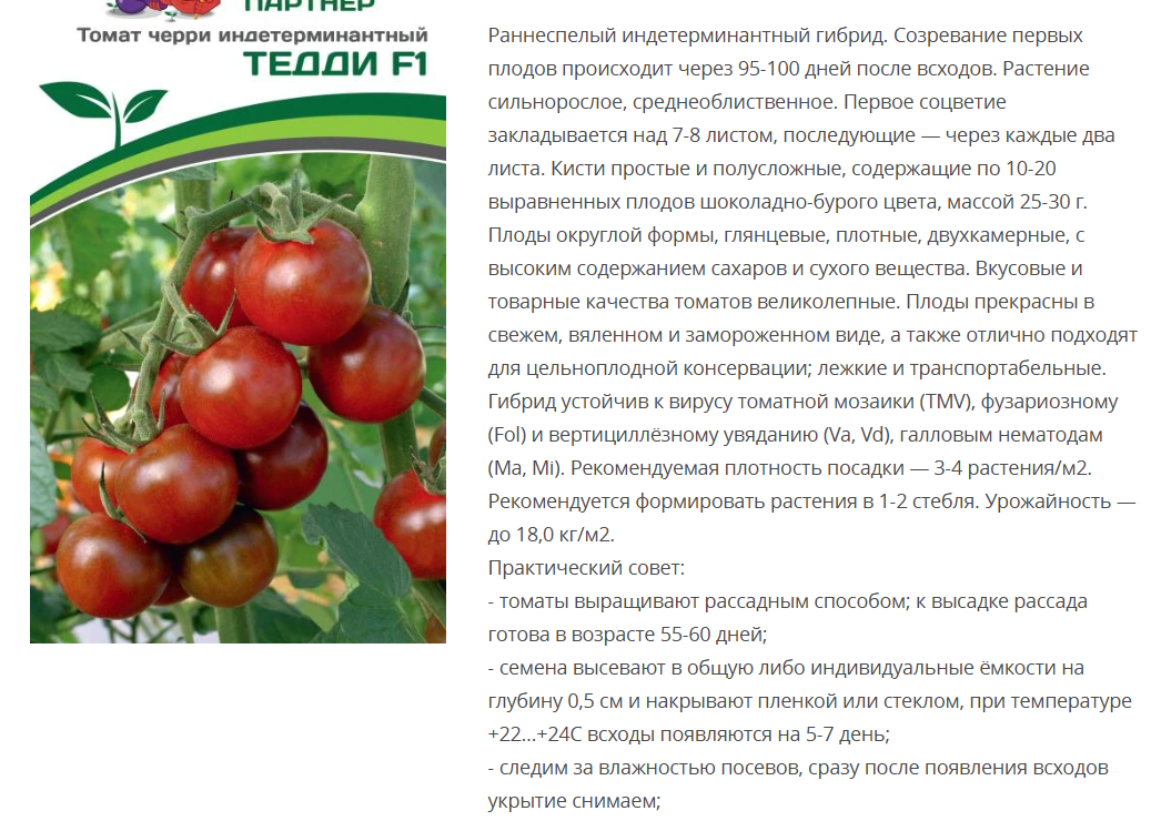 Томат Тедди F1 ( 1 упаковка- 5шт.)