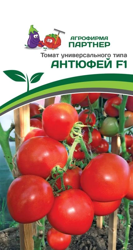 Томат Антюфей F1 (1 упаковка - 0,1 гр)