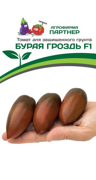 Томат Бурая Гроздь F1(1 упаковка -10шт.)