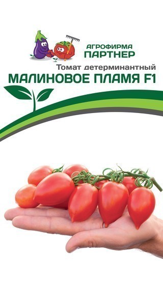 Томат Малиновое Пламя F1 (1 упаковка - 10 шт)