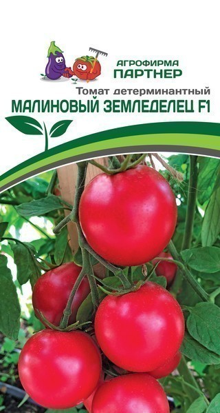 Томат Малиновый Земледелец F1 (1 упаковка -0,05г.)
