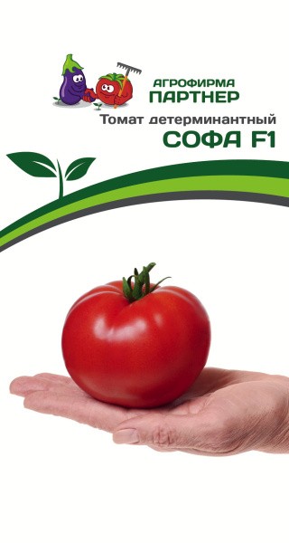 Томат Софа F1 (1 упаковка - 0,05 гр.)