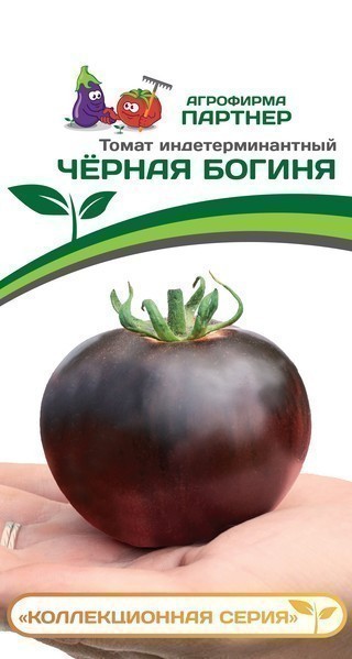 Томат Чёрная Богиня (1 упаковка - 10 шт)