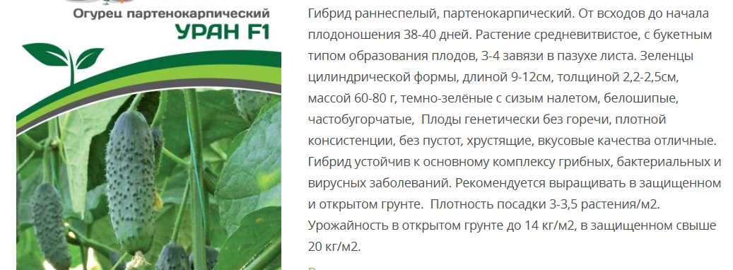 Огурец партенокарпический Уран F1 ( 1 упаковка - 5шт.)