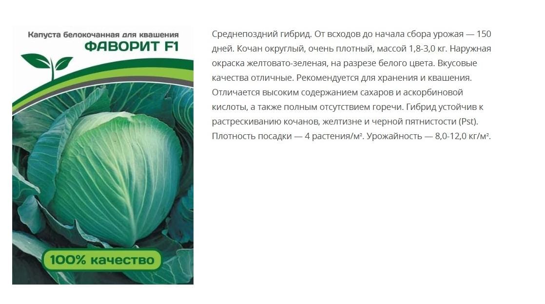 Капуста белокочанная среднепоздняя (для квашения) Фаворит F1 (1 упаковка 0,2г)