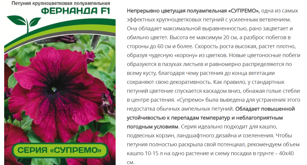Петуния  "Супремо" Фернанда F1 полуампельная (5шт в амп)