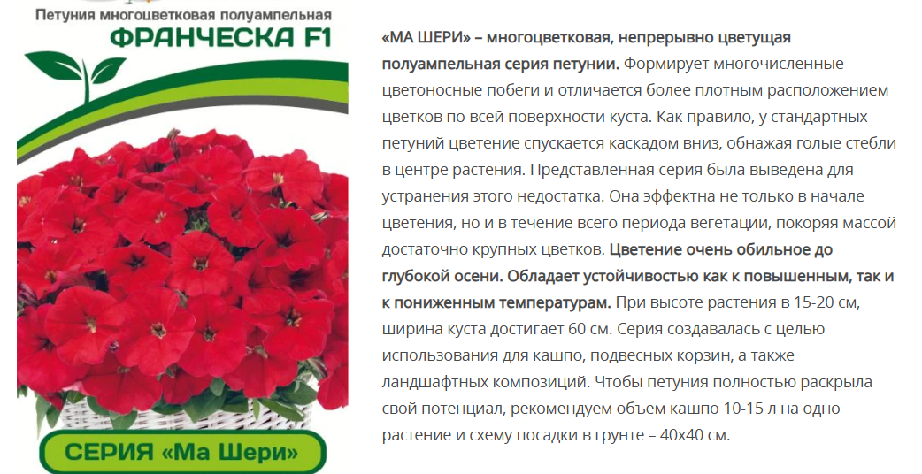 Петуния "Ма Шери" Франческа F1 полуампельная красная (5шт в амп)