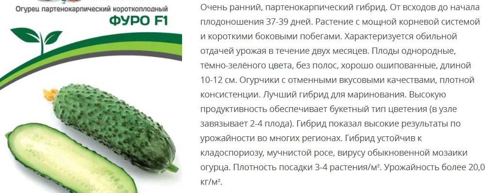 Огурец партенокарпический Фуро F1 (1 упаковка- 5шт)