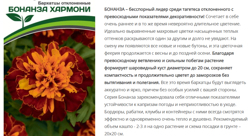 Бархатцы отклоненные Бонанза Хармони (10шт)