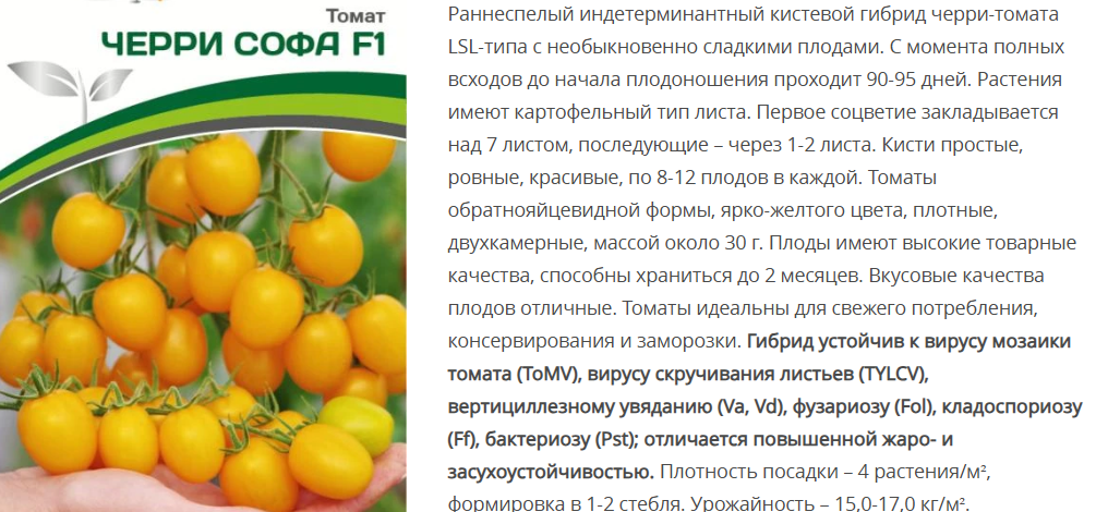 Томат Черри Софа F1 (1 упаковка -5шт)