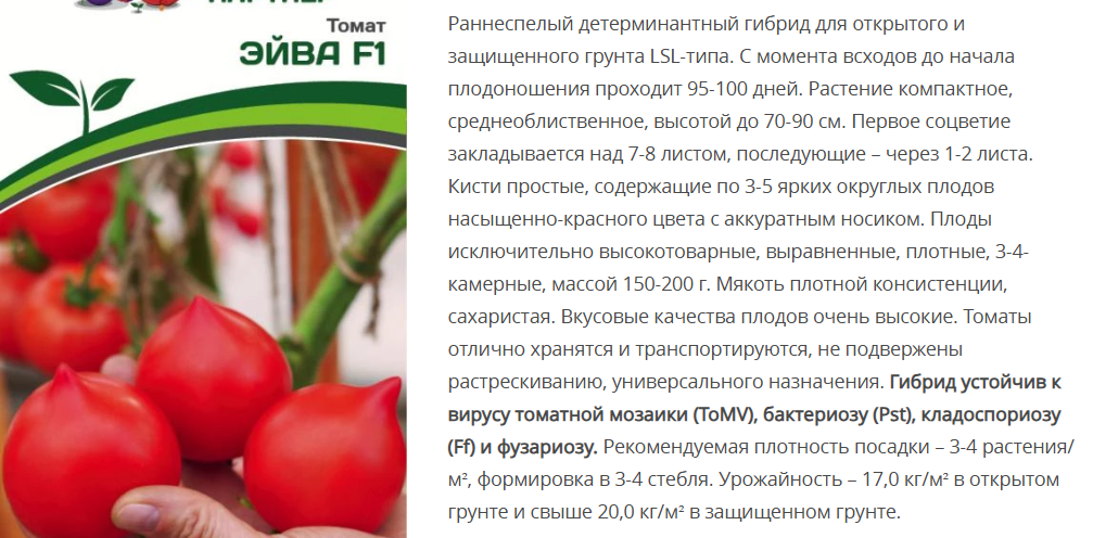 Томат Эйва F1 (1 упаковка - 0,05 гр)