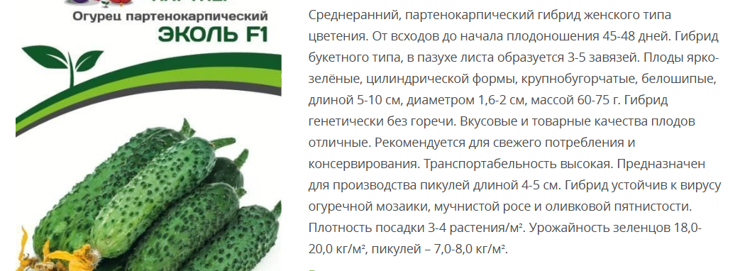 Огурец партенокарпический Эколь F1 (1 упаковка-5шт)