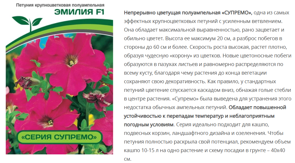 Петуния  "Супремо" Эмилия F1 полуампельная тёмно-розовая (5шт в амп)