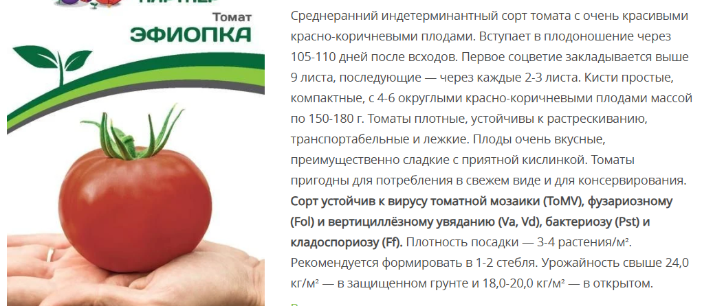 Томат Эфиопка (1 упаковка-10шт)