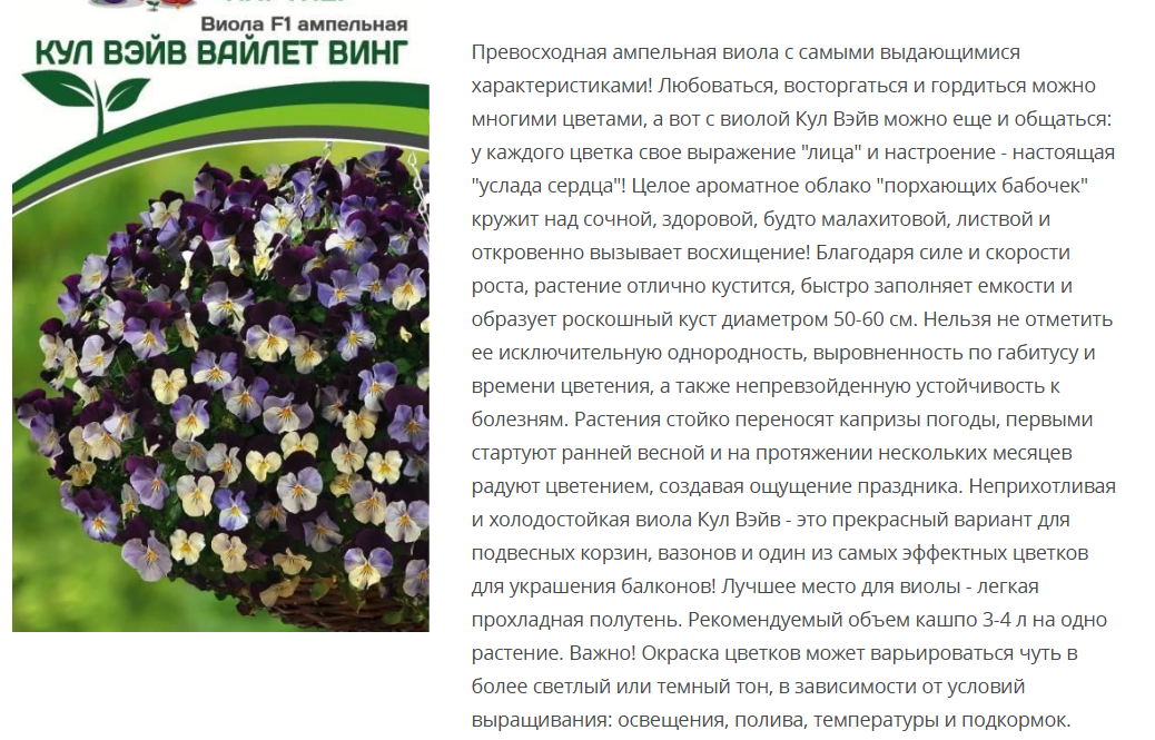 Виола ампельная Кул Вэйв Вайлет Винг F1 (1 упаковка - 5шт.)