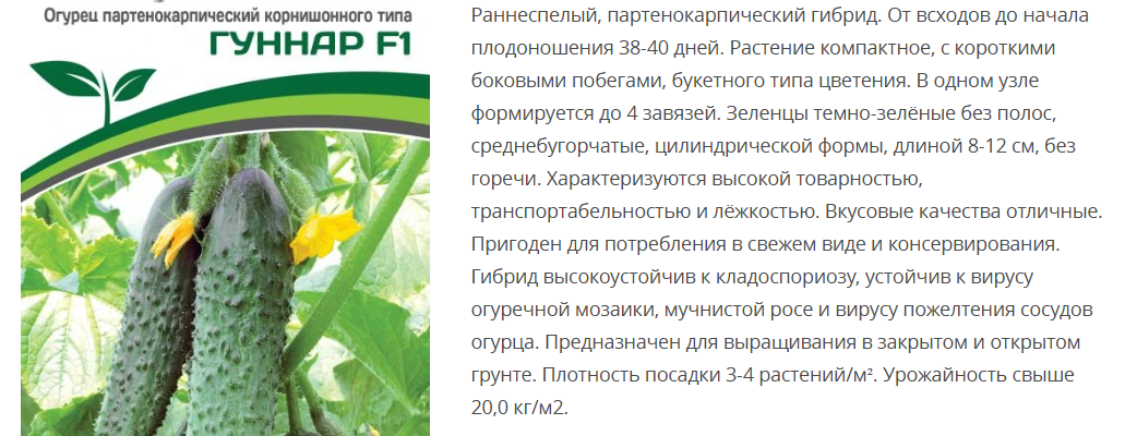 Огурец партенокарпический Гуннар F1 ( 1 упаковка- 5шт.)