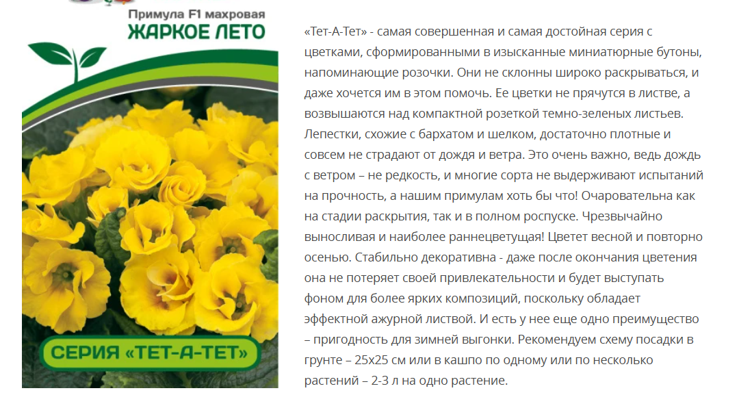Примула F1 махровая "Тет-А-Тет" Жаркое Лето (1 упаковка - 5шт.)